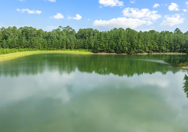 57th image of 571 Pontoon Rd, Huger, SC 29450 | MLS# 26018229