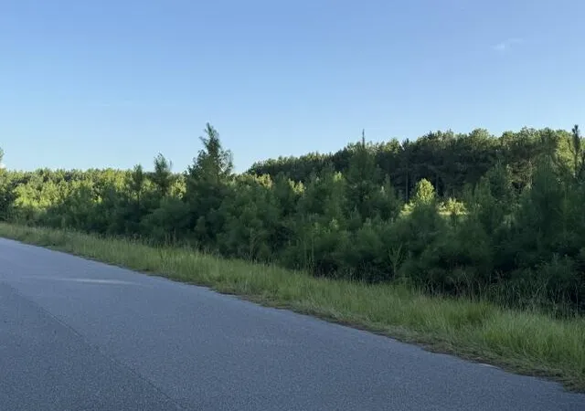1st image of 0 Charmaine Ln, Orangeburg, SC 29118 | MLS# 26023555