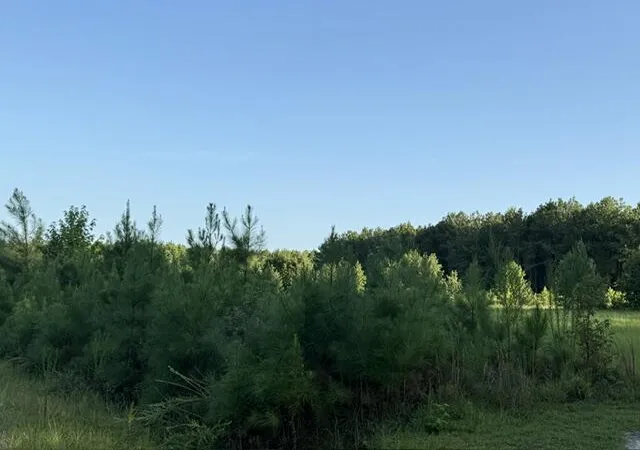 2nd image of 0 Charmaine Ln, Orangeburg, SC 29118 | MLS# 26023555