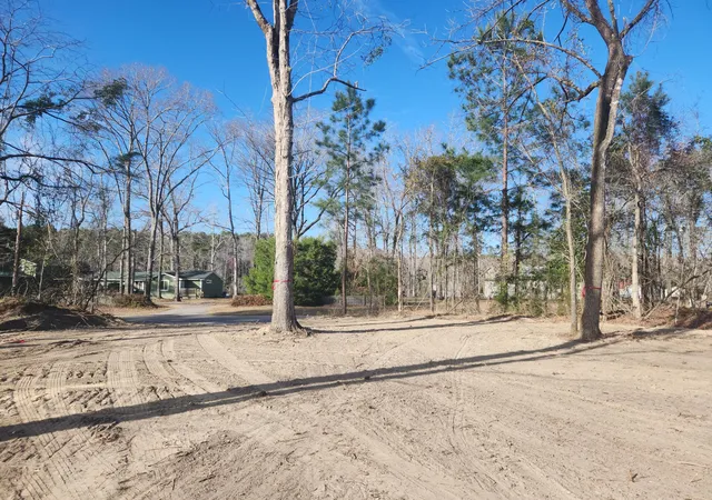 Homes for sale in Eutawville, SC | 209 Ash Hill Dr, Eutawville, SC 29048 | MLS# 26018338