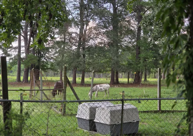 Photo 4 of Land for sale at 373 Cheyenne Rd, Summerville, SC 29483 | MLS# 26024378 | Listing updated on 2026-08-28