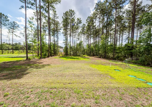 Homes for sale in Ridgeville, SC | 419 Myers Mayo Dr #34, Ridgeville, SC 29472 | MLS# 25032746