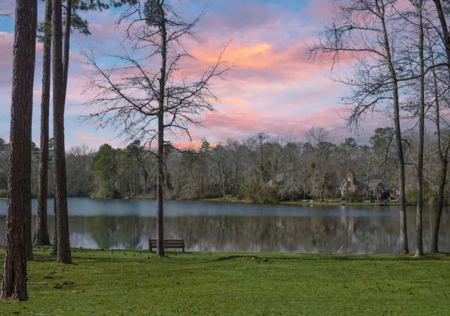 Homes for sale in Elloree, SC | 1 Santee Lakes Ct, Elloree, SC 29047 | MLS# 26017850