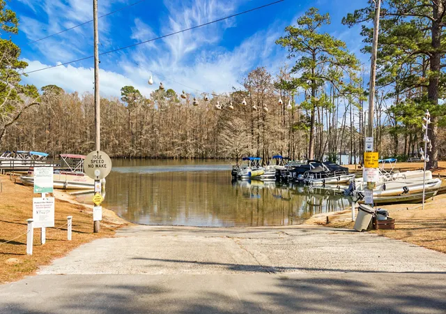 Homes for sale in Elloree, SC | 1 Santee Lakes Ct, Elloree, SC 29047 | MLS# 26017850