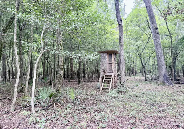 32nd image of 7889 Hwy 41, Jamestown, SC 29453 | MLS# 26022168
