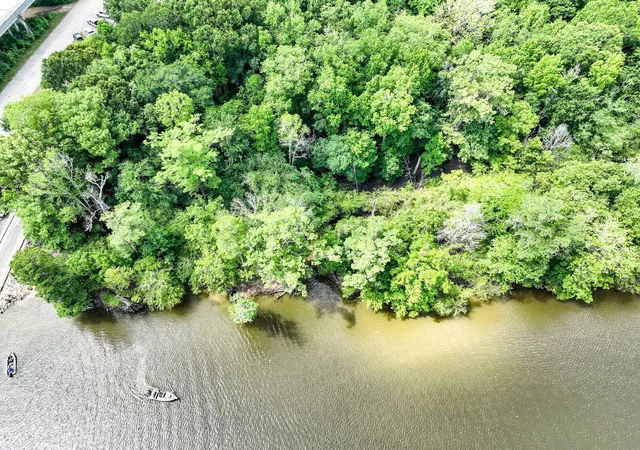 Photo 4 of Land for sale at 7889 Highway 41, Jamestown, SC 29453 | MLS# 26022168 | Listing updated on 2026-09-04