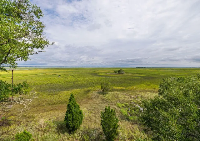 Homes for sale in Dewees Island, SC | 242 Old House Ln, Dewees Island, SC 29451 | MLS# 25024217