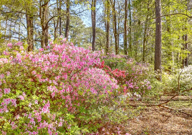 37th image of 137 Stonehurst Dr, Goose Creek, SC 29445 | MLS# 26023023