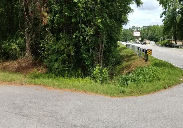 image of 216 Henry St, Walterboro, SC 29488 | MLS# 26019878
