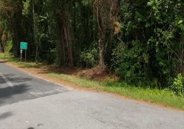 image of 216 Henry St, Walterboro, SC 29488 | MLS# 26019878