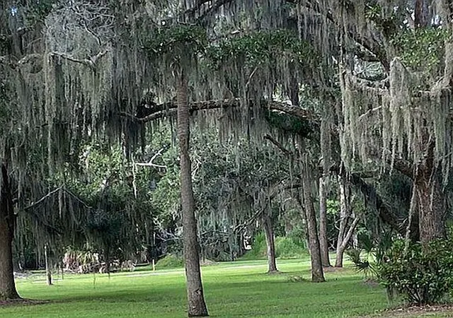Photo 2 of Land for sale at 83 Cocktail Ln, Edisto Island, SC 29438 | MLS# 25002467 | Listing updated on 2025-09-17
