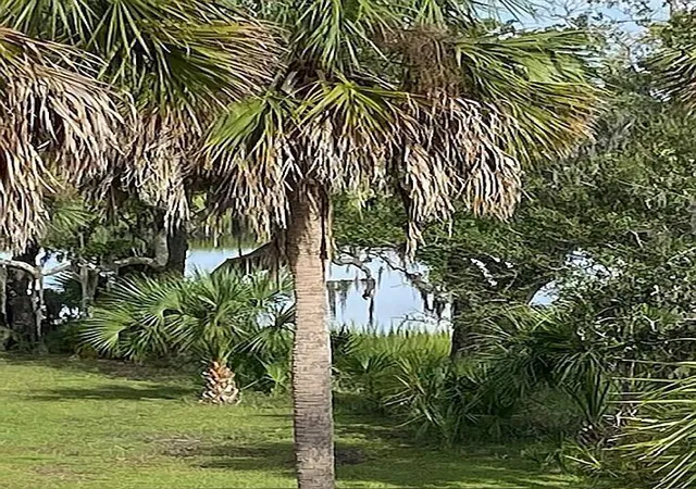 Photo 3 of Land for sale at 83 Cocktail Ln, Edisto Island, SC 29438 | MLS# 25002467 | Listing updated on 2025-09-17