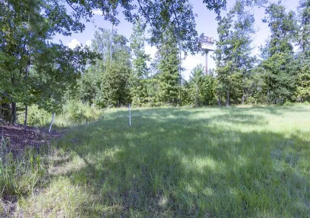 5th image of 0 Mulberry Rd, Saint George, SC 29477 | MLS# 26022844