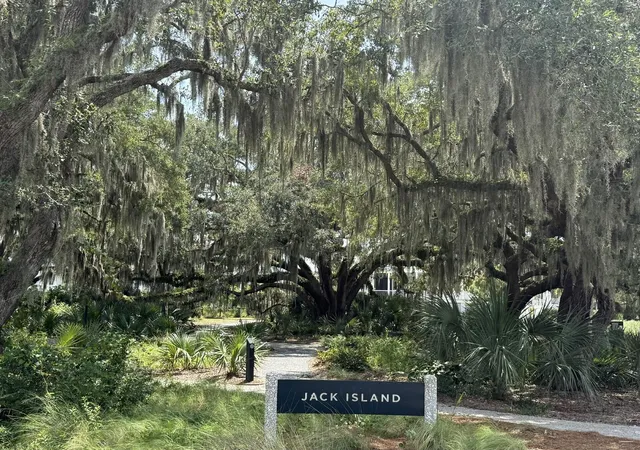 20th image of 1003 Basin Ln, Johns Island, SC 29455 | MLS# 25023375