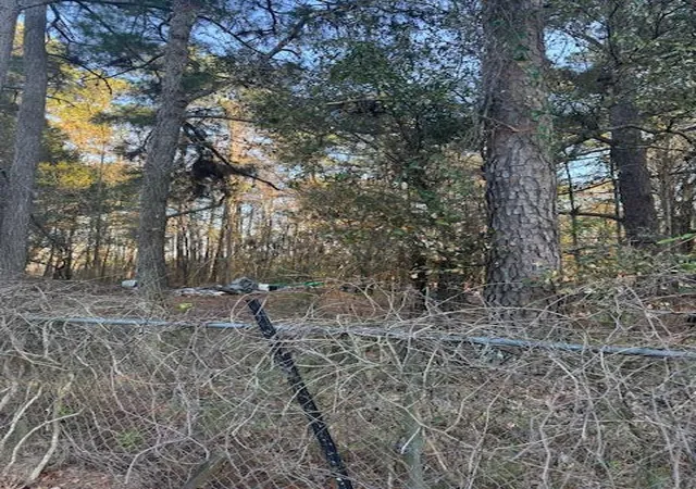 Photo 1 of Land for sale at 0 Central Ave, Summerville, SC 29483 | MLS# 26004228 | Listing updated on 2026-02-27