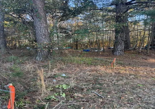 Photo 2 of Land for sale at 0 Central Ave, Summerville, SC 29483 | MLS# 26004228 | Listing updated on 2026-02-27