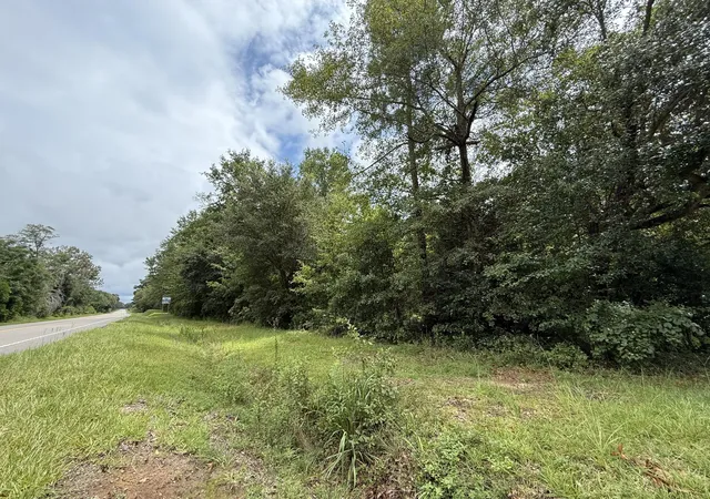 Homes for sale in Barnwell, SC | 0000 Summer Dr, Barnwell, SC 29812 | MLS# 25031882