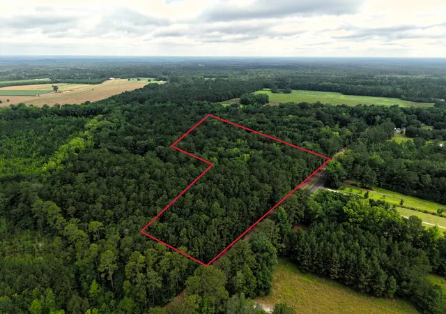 Homes for sale in Ruffin, SC | 2240 Scuffletown Rd, Ruffin, SC 29475 | MLS# 26018068