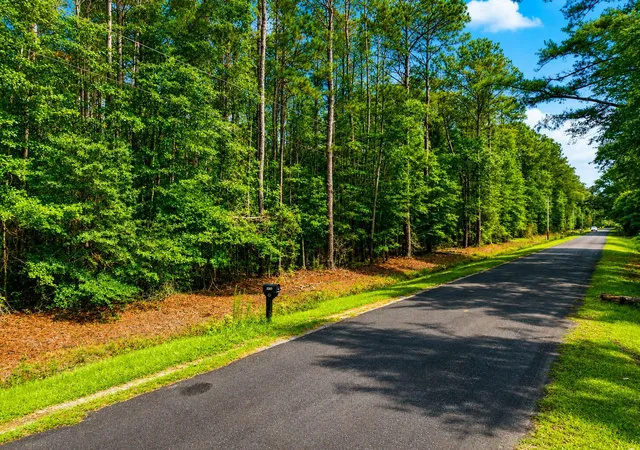 Homes for sale in Ruffin, SC | 2240 Scuffletown Rd, Ruffin, SC 29475 | MLS# 26018068