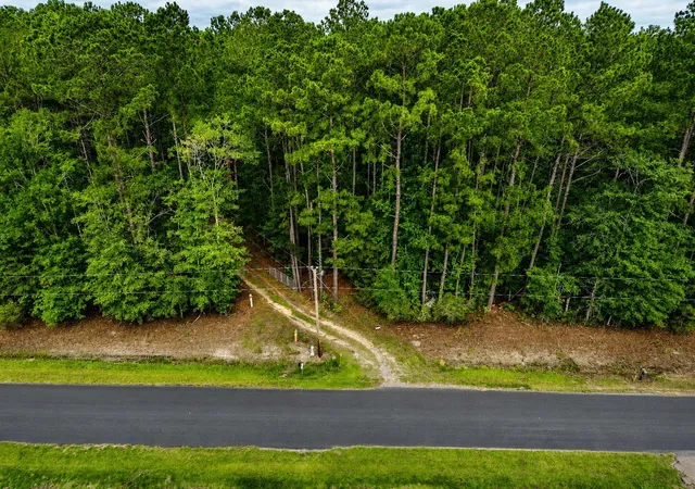 Homes for sale in Ruffin, SC | 2240 Scuffletown Rd, Ruffin, SC 29475 | MLS# 26018068