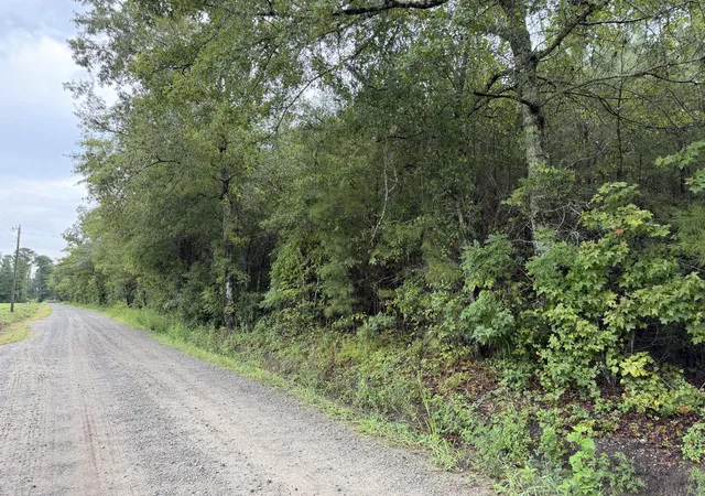 Photo 3 of Land for sale at 0 Markham Rd, Ridgeville, SC 29472 | MLS# 26024282 | Listing updated on 2026-08-27