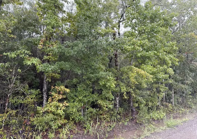 Photo 4 of Land for sale at 0 Markham Rd, Ridgeville, SC 29472 | MLS# 26024282 | Listing updated on 2026-08-27