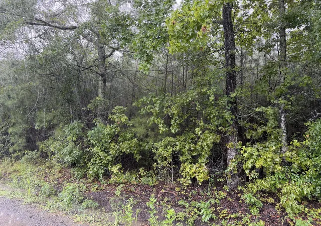 Photo 5 of Land for sale at 0 Markham Rd, Ridgeville, SC 29472 | MLS# 26024282 | Listing updated on 2026-08-27