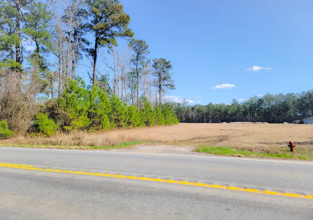 4th image of 1374 Jedburg Rd, Summerville, SC 29486 | MLS# 26005103