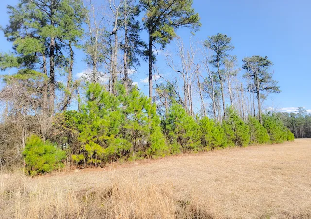 5th image of 1374 Jedburg Rd, Summerville, SC 29486 | MLS# 26005103