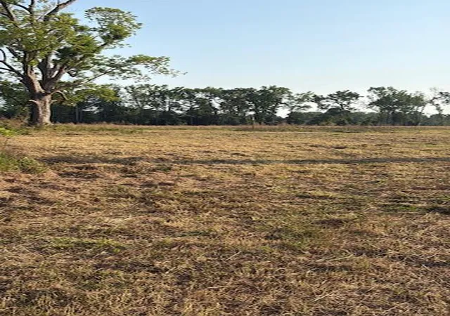Photo 2 of Land for sale at 255 Old Spell Rd, Saint George, SC 29477 | MLS# 26020548 | Listing updated on 2026-08-20