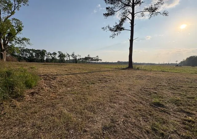 Photo 3 of Land for sale at 255 Old Spell Rd, Saint George, SC 29477 | MLS# 26020548 | Listing updated on 2026-08-20