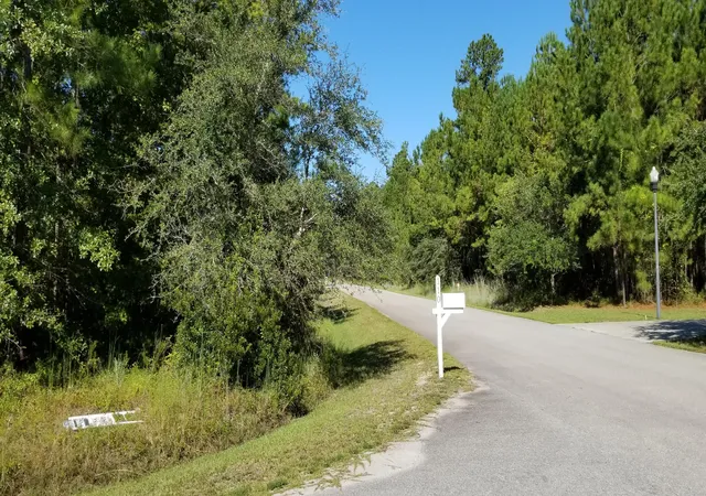 image of 0 Watershed Ct, Walterboro, SC 29488 | MLS# 24024109