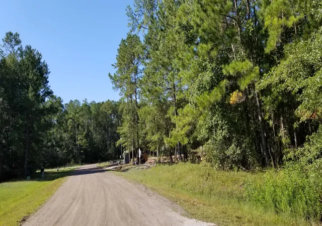image of 0 Watershed Ct, Walterboro, SC 29488 | MLS# 24024109