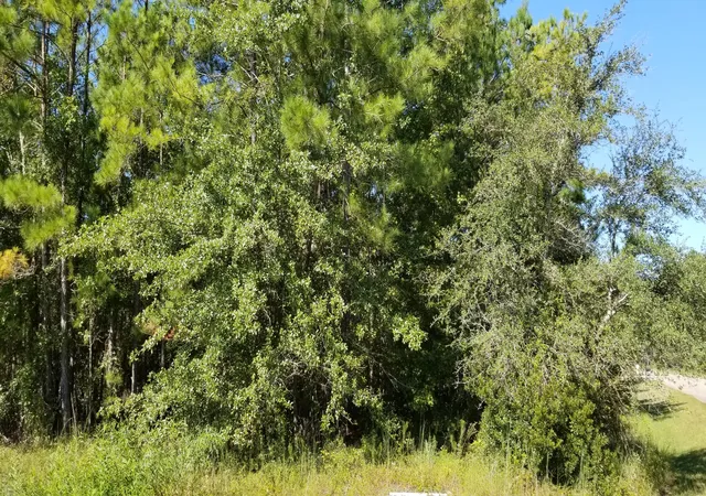 image of 0 Watershed Ct, Walterboro, SC 29488 | MLS# 24024109