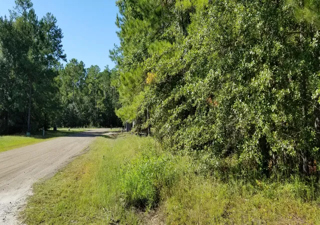 image of 0 Watershed Ct, Walterboro, SC 29488 | MLS# 24024109