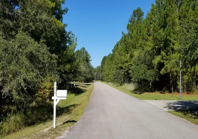 image of 0 Watershed Ct, Walterboro, SC 29488 | MLS# 24024109