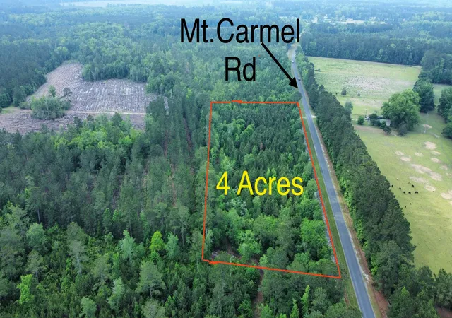 image of 1 A Mt Carmel Rd, Walterboro, SC 29488 | MLS# 25013596