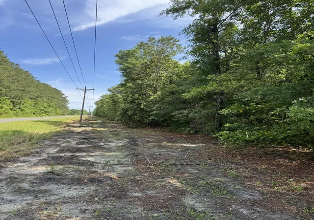 image of 1 A Mt Carmel Rd, Walterboro, SC 29488 | MLS# 25013596