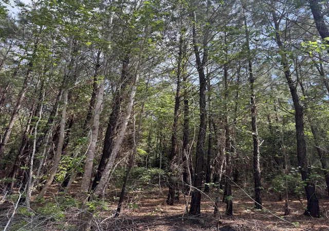 image of 1 A Mt Carmel Rd, Walterboro, SC 29488 | MLS# 25013596