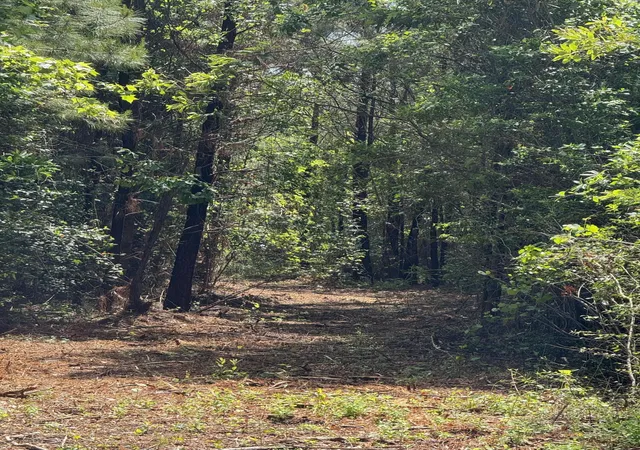 Photo 6 of Sale Pending at 1 A Mt Carmel Rd, Walterboro, SC 29488 | MLS# 25013596 | Listing updated on 2025-12-01
