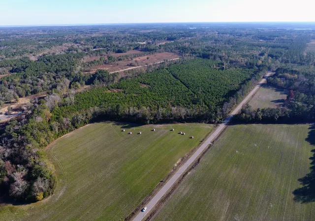 Photo 3 of Land for sale at 0 Rocks Pond Rd #Lot S, Eutawville, SC 29048 | MLS# 26021448 | Listing updated on 2026-09-03