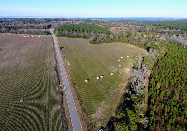 Photo 4 of Land for sale at 0 Rocks Pond Rd #Lot S, Eutawville, SC 29048 | MLS# 26021448 | Listing updated on 2026-09-03