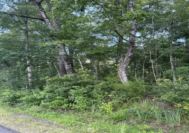 Photo 2 of Land at 1 Boat Landing Rd, Ridgeville, SC 29472 | MLS# 25021544 |  | Sold on 2026-05-27
