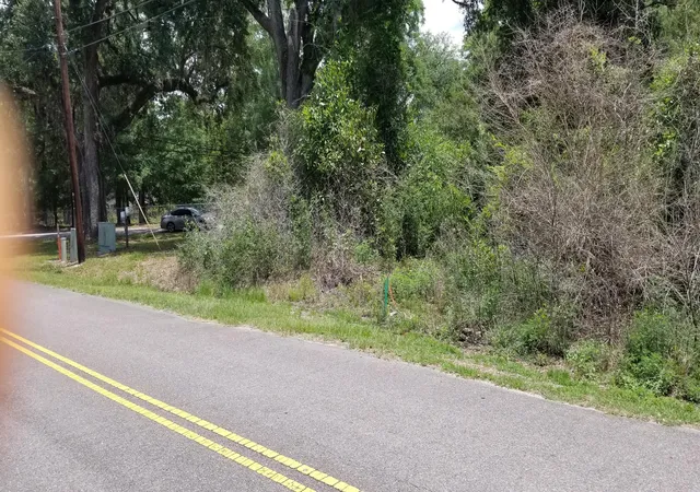 Photo 2 of Land for sale at 0 Pearson St, Walterboro, SC 29488 | MLS# 26019871 | Listing updated on 2026-07-11