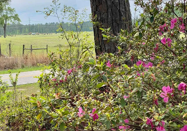 Photo 2 of Land for sale at 6336 North Rd, North, SC 29112 | MLS# 25030399 | Listing updated on 2026-06-15