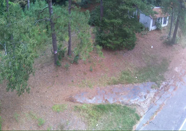 Photo 3 of Land for sale at 6336 North Rd, North, SC 29112 | MLS# 25030399 | Listing updated on 2026-06-15