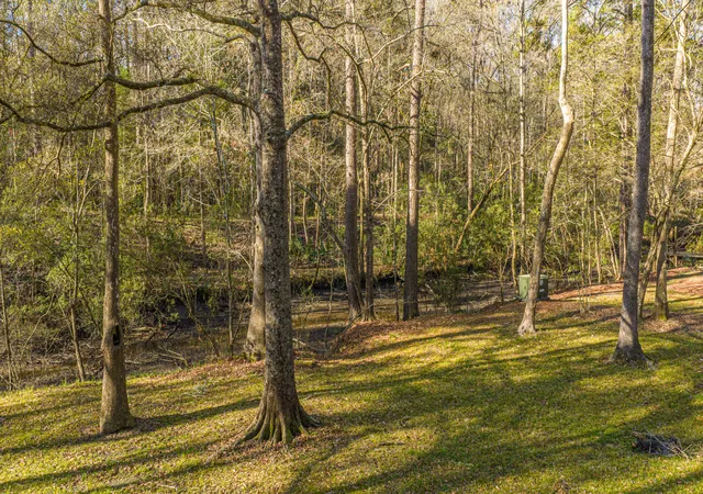 Photo 4 of Land for sale at 113 Hampton Dr, Summerville, SC 29485 | MLS# 26006866 | Listing updated on 2026-09-02