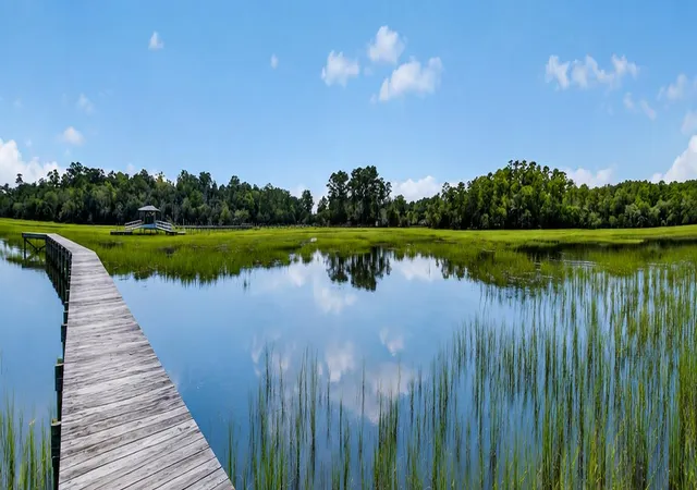 Photo 3 of Land for sale at 5751 Church Flats Rd, Hollywood, SC 29449 | MLS# 26023631 | Listing updated on 2026-10-02