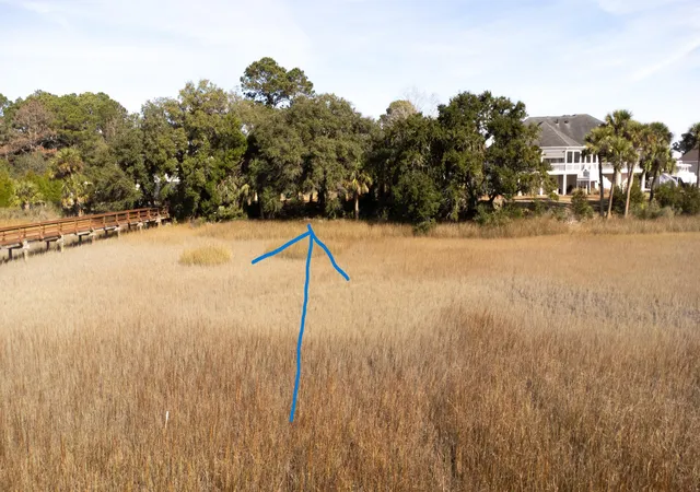 Homes for sale in Green Pond, SC | 171 Bennett Island Dr, Green Pond, SC 29446 | MLS# 26015772