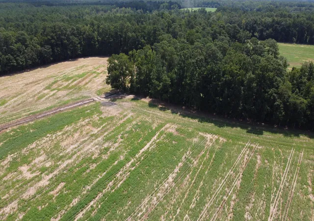 Photo 5 of Sale Pending at 0 Black River Rd, New Zion, SC 29111 | MLS# 25021547 | Listing updated on 2026-04-15